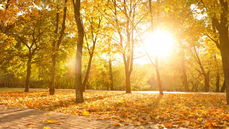 10 Innovative Techniques to Maximize Coverage from a Single Location for Stock Footage & Client Videos