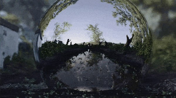 13 Stunning Free Forest HDRI Environment Maps from Shutterstock – 100% Free Download