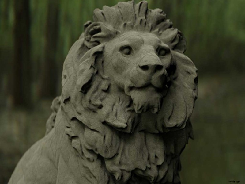 13 Stunning Free Forest HDRI Environment Maps from Shutterstock – 100% Free Download