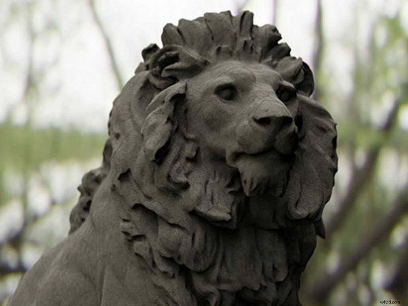 13 Stunning Free Forest HDRI Environment Maps from Shutterstock – 100% Free Download