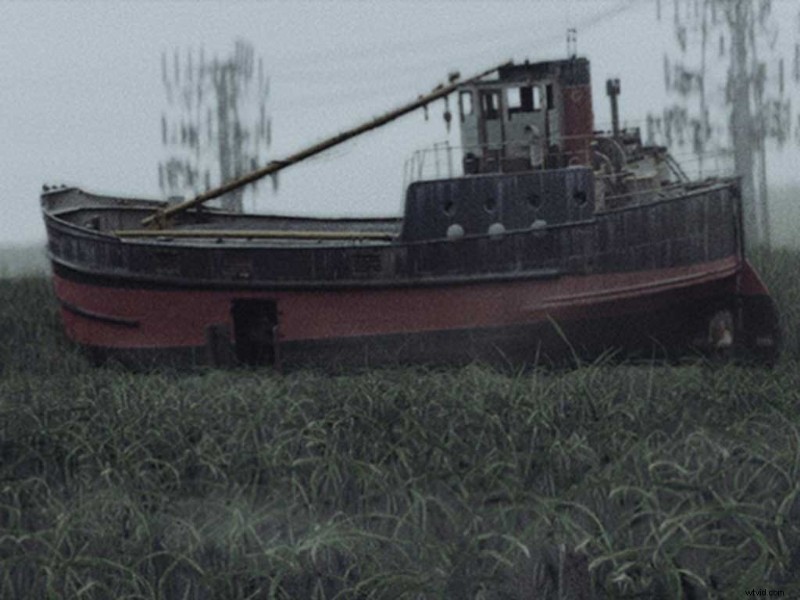 13 Stunning Free Forest HDRI Environment Maps from Shutterstock – 100% Free Download