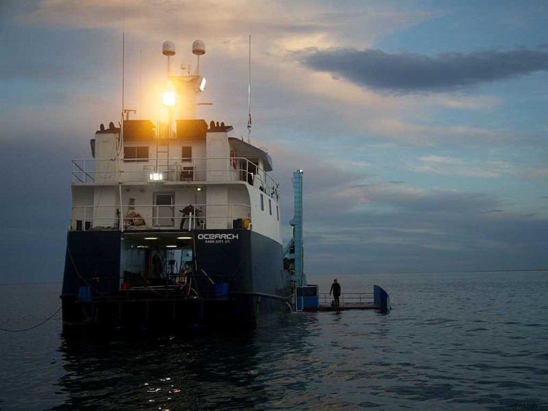 Shutterstock Partners with A+E Networks® for Exclusive Archival Footage Access