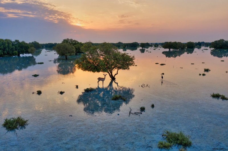 Drones Revolutionize Travel Photography: Paul Prescott s Journey to Aerial Agency Leadership