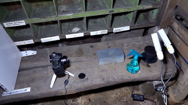 Master Plant Time-Lapse Photography: Step-by-Step Video Tutorial