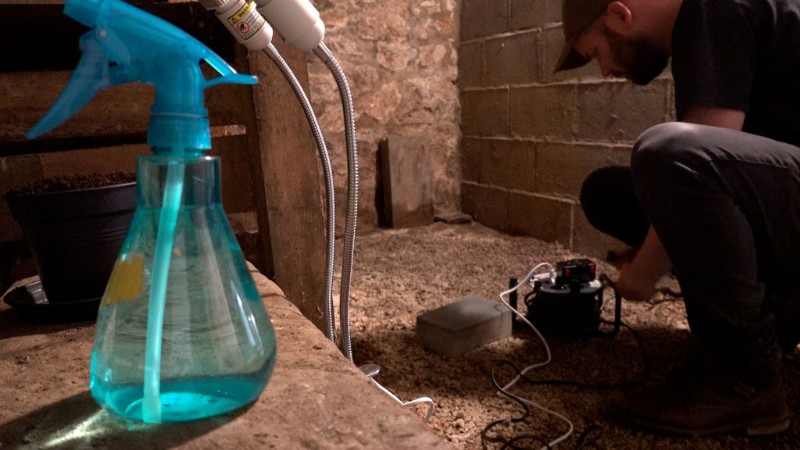 Master Plant Time-Lapse Photography: Step-by-Step Video Tutorial