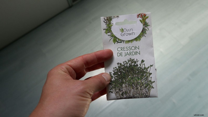 Master Plant Time-Lapse Photography: Step-by-Step Video Tutorial