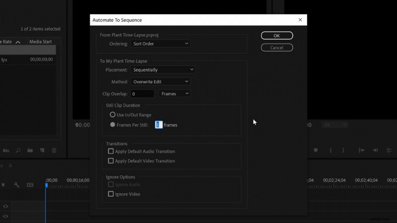 Master Plant Time-Lapse Photography: Step-by-Step Video Tutorial