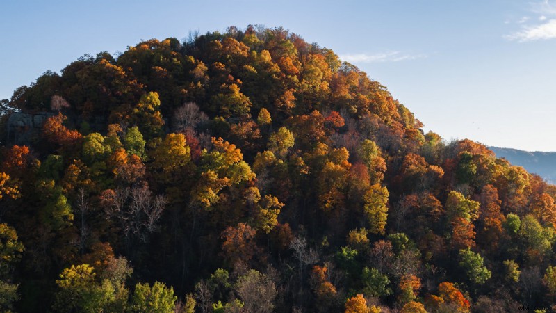 9 Expert Tips for Stunning Drone Shots of Fall Foliage Landscapes