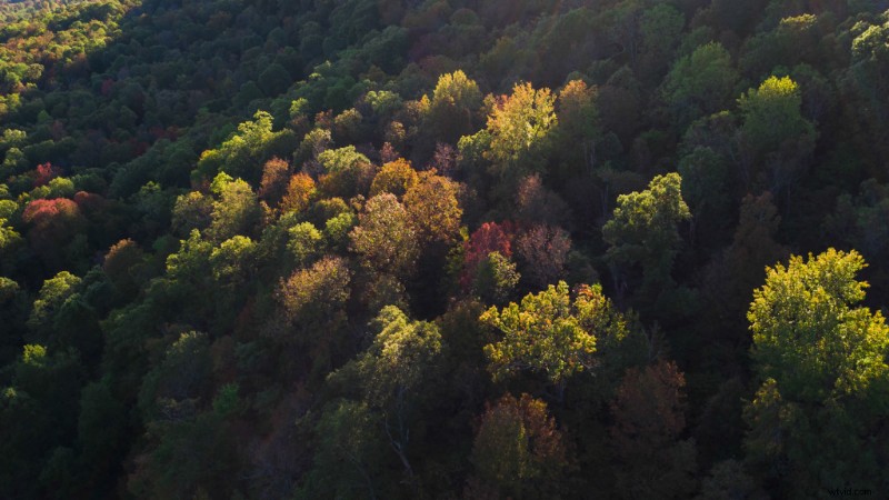 9 Expert Tips for Stunning Drone Shots of Fall Foliage Landscapes
