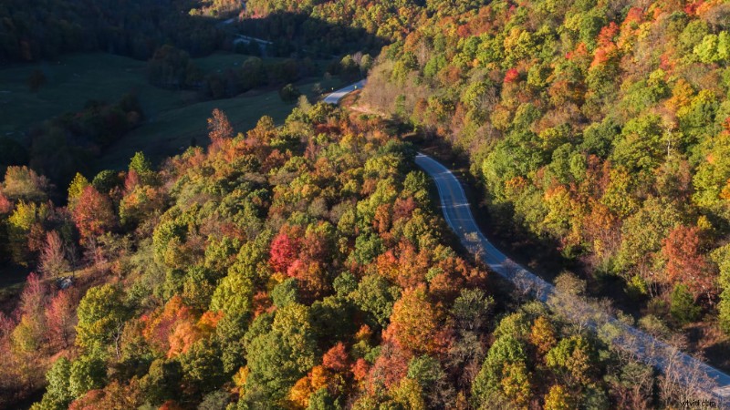 9 Expert Tips for Stunning Drone Shots of Fall Foliage Landscapes