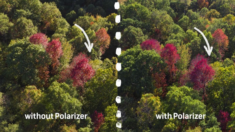 9 Expert Tips for Stunning Drone Shots of Fall Foliage Landscapes