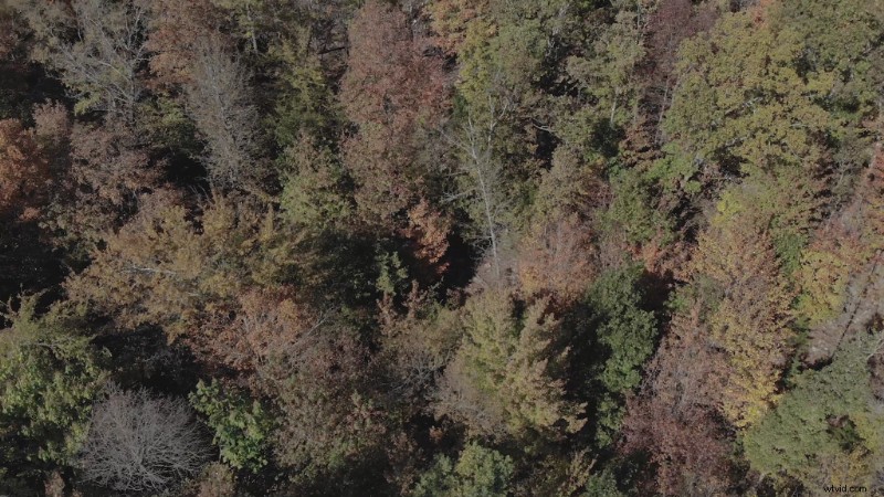 9 Expert Tips for Stunning Drone Shots of Fall Foliage Landscapes