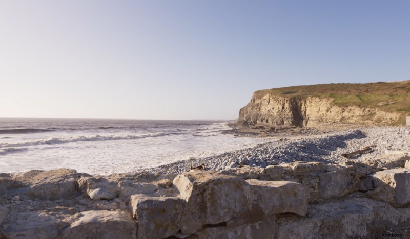 Master Summer Vibes: Pro Color Grading Tutorial for Stunning Video Footage