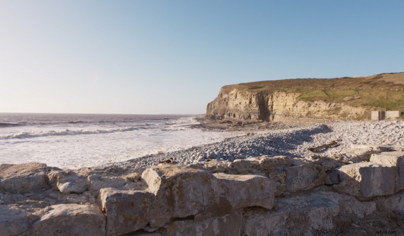 Master Summer Vibes: Pro Color Grading Tutorial for Stunning Video Footage