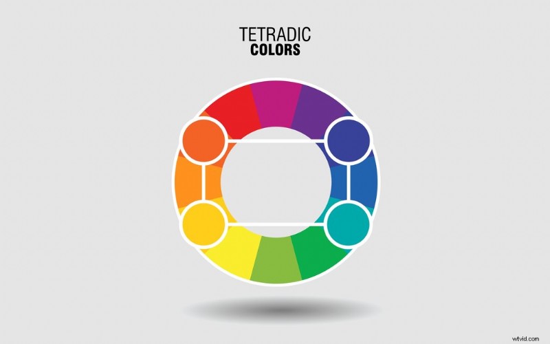 3 Essential Video Tutorials to Master Motion Graphic Design Fundamentals