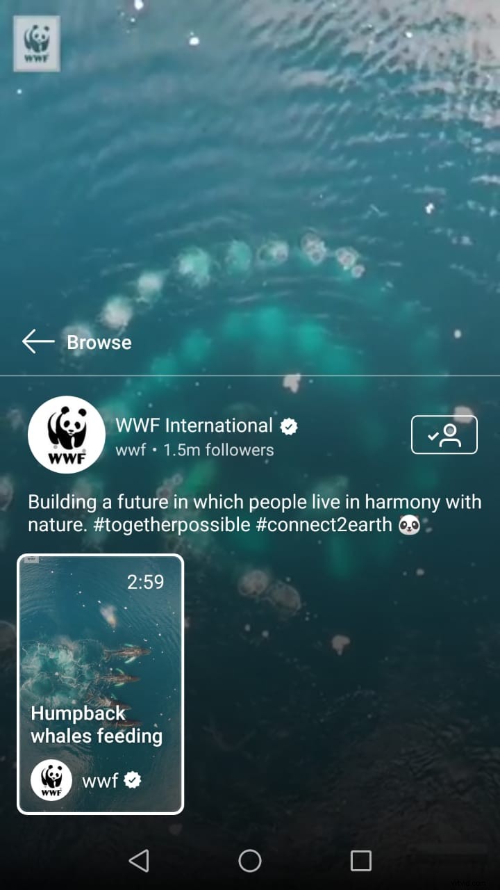 IGTV for Nonprofits: Boost Awareness and Fundraising with Instagram Videos