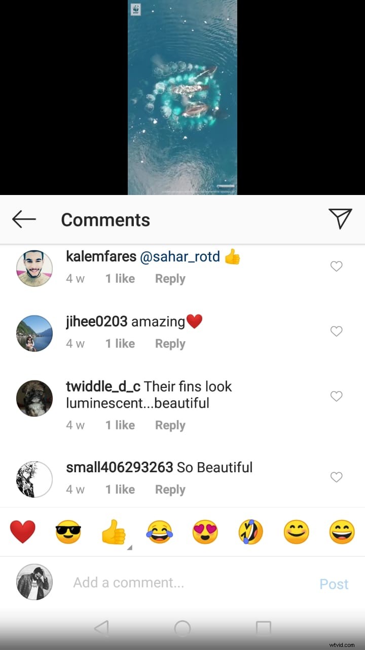 IGTV for Nonprofits: Boost Awareness and Fundraising with Instagram Videos