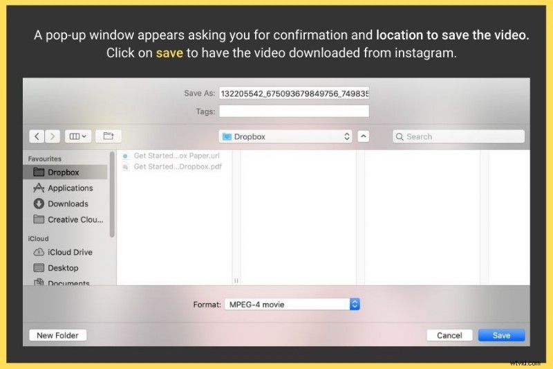 How to Save and Download Instagram Videos Online: Easy Step-by-Step Guide