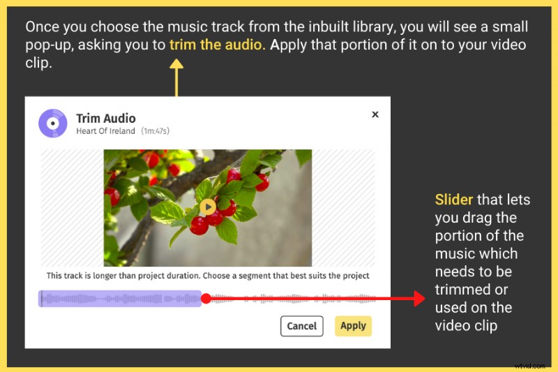Edit Videos Online for Free: Quick & Easy Beginner Guide