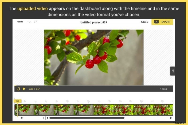 Edit Videos Online for Free: Quick & Easy Beginner Guide