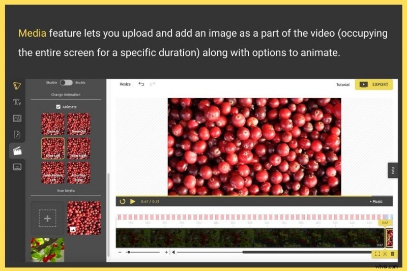 Edit Videos Online for Free: Quick & Easy Beginner Guide