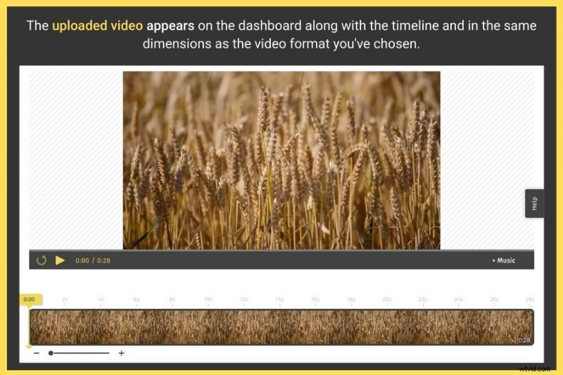 Create Professional Videos Online for Free: Quick & Easy Guide