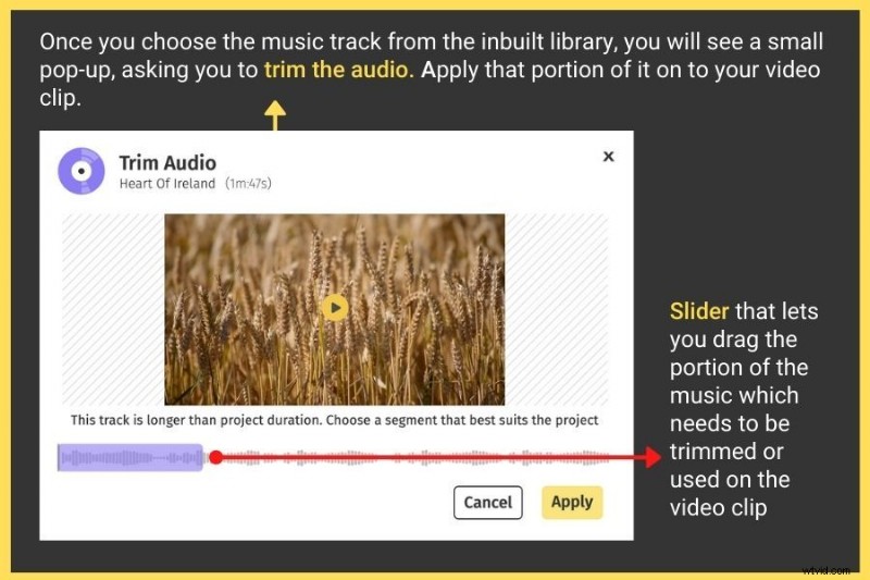 Create Professional Videos Online for Free: Quick & Easy Guide