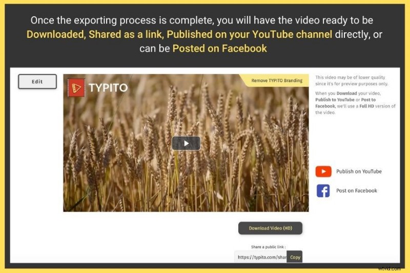 Create Professional Videos Online for Free: Quick & Easy Guide
