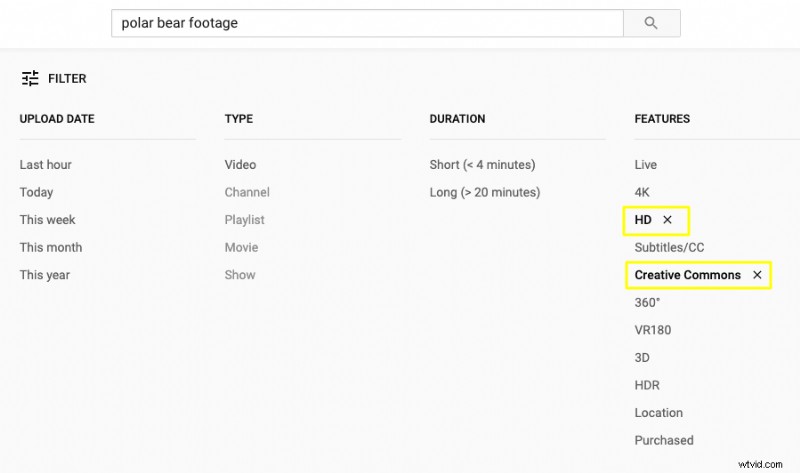 Top 10 Best Websites for Free Royalty-Free Stock Videos [2024 Update]
