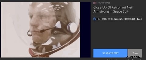 Top 10 Best Websites for Free Royalty-Free Stock Videos [2024 Update]