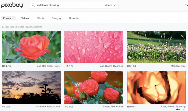 Top 10 Best Websites for Free Royalty-Free Stock Videos [2024 Update]