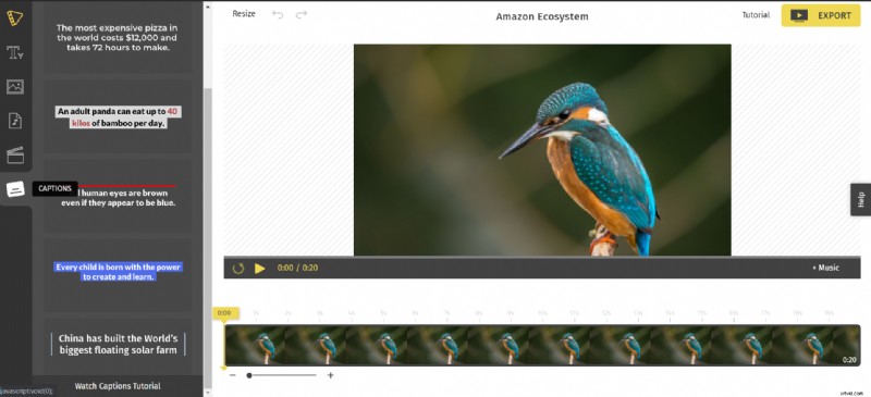 What Is an SRT File? Easy Guide to Creating Subtitles for Videos