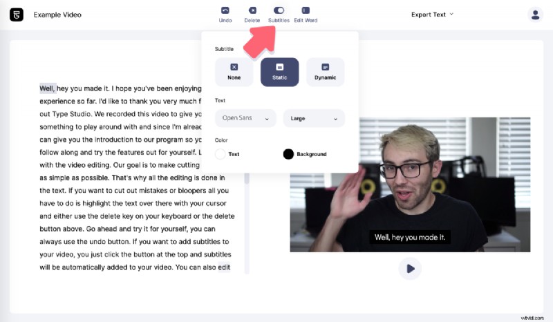 Effortlessly Add Automatic Subtitles to Any Video: Type Studio Tutorial