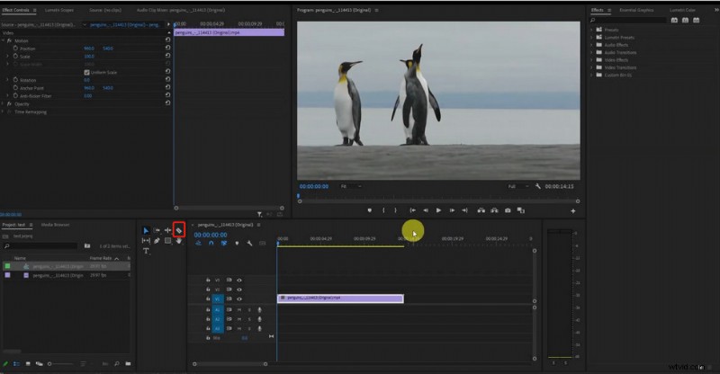 Step-by-Step Guide: Adding Smooth Transitions in Adobe Premiere Pro