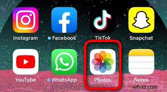 Loop Videos on iPhone Without Apps: 2 Fast & Easy Native Methods