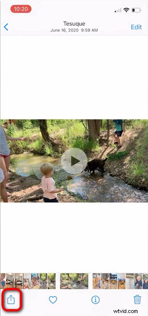 Loop Videos on iPhone Without Apps: 2 Fast & Easy Native Methods