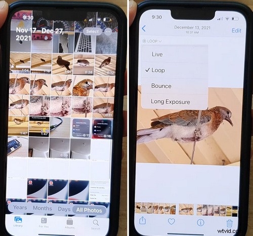Loop Videos on iPhone Without Apps: 2 Fast & Easy Native Methods