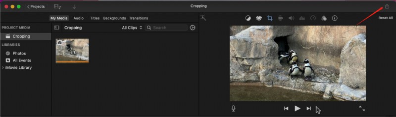 How to Crop Videos on Mac: 5 Best Step-by-Step Methods