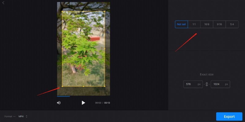 How to Crop Videos on Mac: 5 Best Step-by-Step Methods