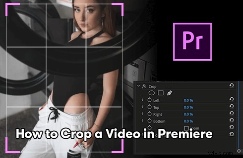 How to Crop and Resize Videos in Adobe Premiere Pro: 2024 Step-by-Step Guide