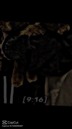 Top 12 CapCut Templates: Best Trending Video Editing Picks for 2022