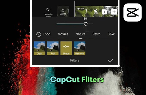 12 Best CapCut Filters for Stunning Textured Video Effects in 2022