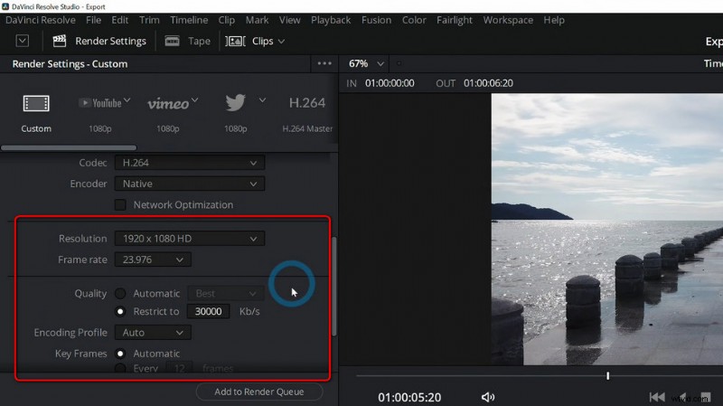 Ultimate DaVinci Resolve 17 Export Guide: ProRes, MP4, Premiere Pro, YouTube & More (2024)