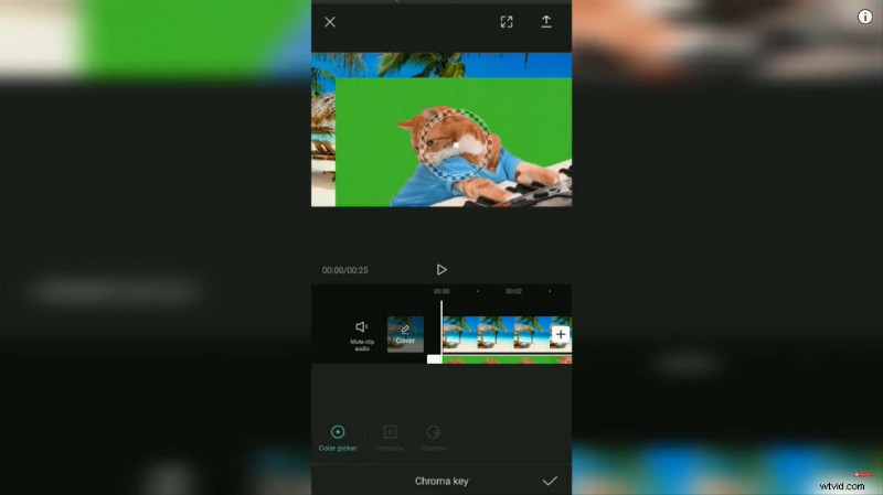 How to Add a Background in CapCut With or Without Green Screen: Step-by-Step Guide