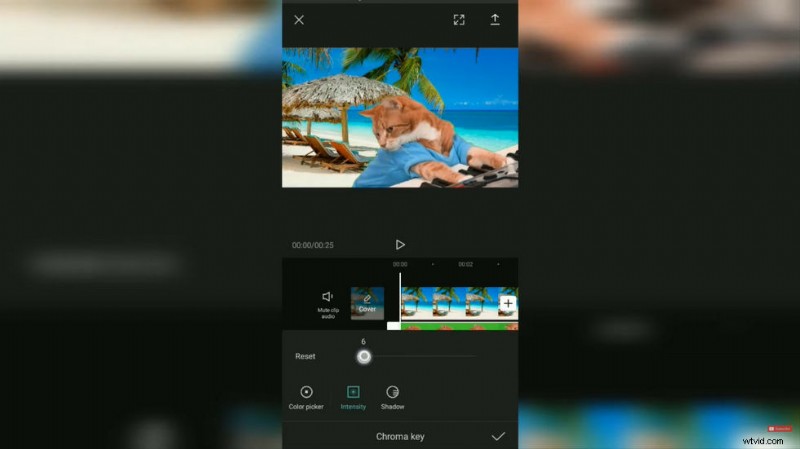 How to Add a Background in CapCut With or Without Green Screen: Step-by-Step Guide