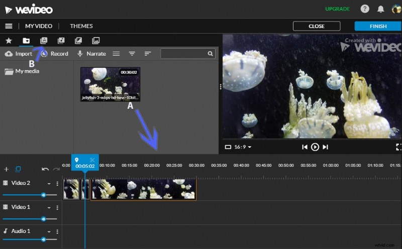 Top 4 Best Video Frame Editors for Windows 10: Expert Recommendations