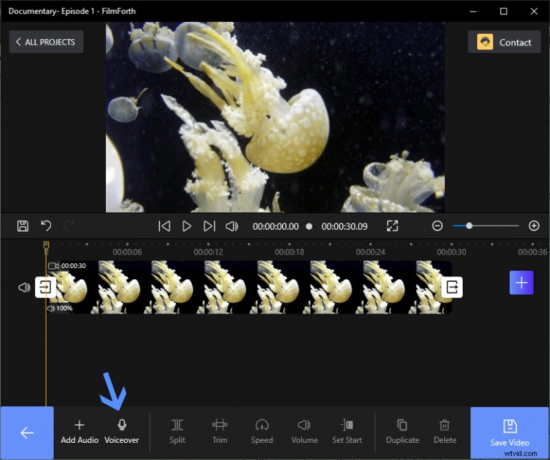 How to Create Professional Voice-Over Videos in 2022: Easy Step-by-Step Guide