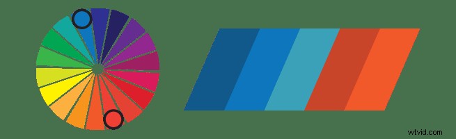 Expert Colour Tips to Captivate Your Audience and Elevate Videos