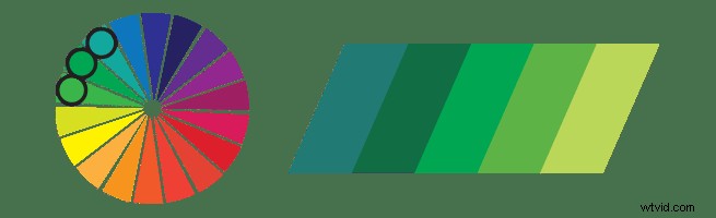 Expert Colour Tips to Captivate Your Audience and Elevate Videos