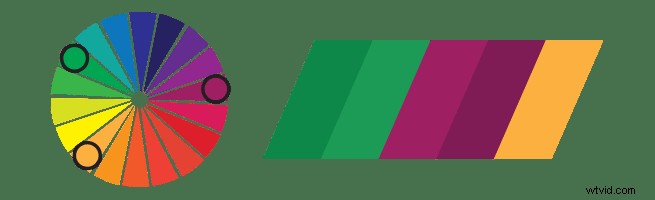 Expert Colour Tips to Captivate Your Audience and Elevate Videos